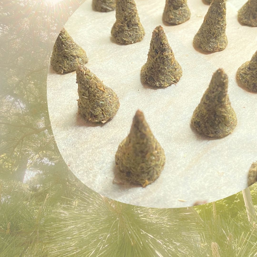 画像に alt 属性が指定されていません。ファイル名: 20250507%EF%BC%BF%E6%A0%AA%E5%A4%A7%E5%85%B1%E5%BB%BA%E8%A8%AD%E3%83%BB%E3%81%8D%E3%81%AD%E3%81%A4%E5%B7%A5%E6%88%BF%EF%BC%BF%E3%81%99%E3%81%8E%E3%81%AA%E3%81%BF%E7%94%A3%E6%A5%AD%E3%83%9E%E3%83%AB%E3%82%B7%E3%82%A7PR%E7%94%BB%E5%83%8F%EF%BC%BF%E6%9D%BE%E3%81%AE%E3%81%8A%E9%A6%99.jpg